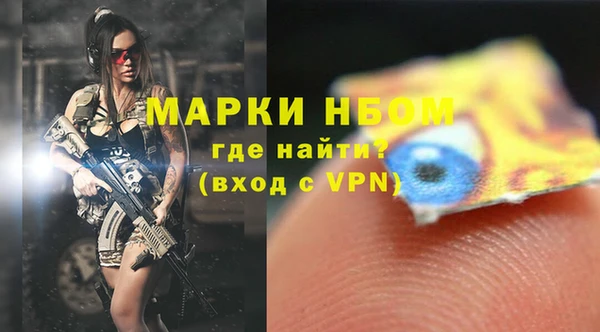 прущие грибы Заволжье