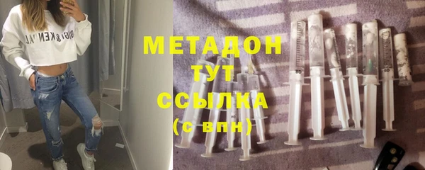 прущие грибы Заволжье