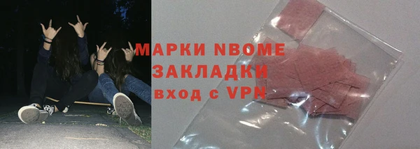 прущие грибы Заволжье