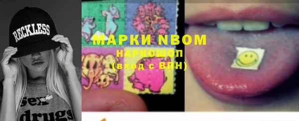 прущие грибы Заволжье