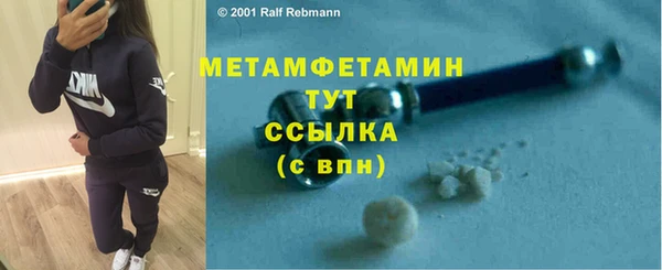 прущие грибы Заволжье