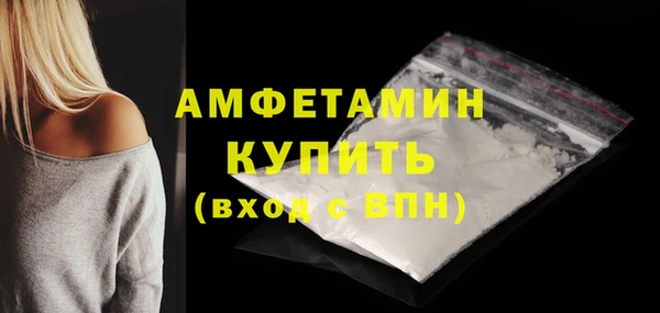 прущие грибы Заволжье