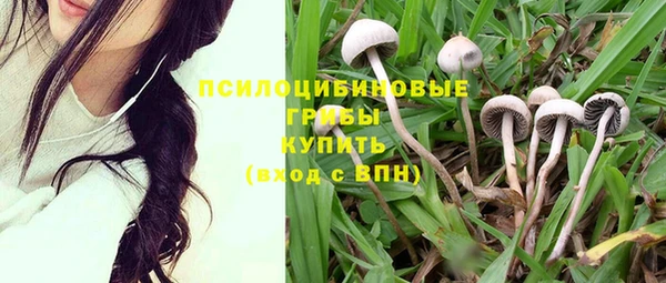 метадон Заволжск
