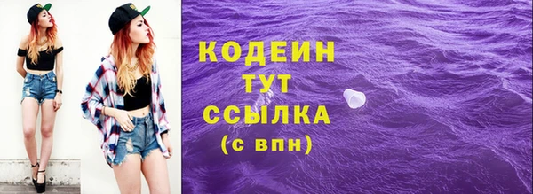 прущие грибы Заволжье