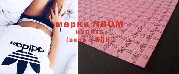 прущие грибы Заволжье