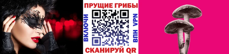 Галлюциногенные грибы Psilocybine cubensis  Купить где  Горячий Ключ 